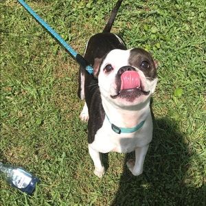 •NOT A PET FREE HOME•